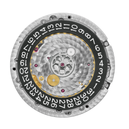 梅花手表维修（梅花清除灰尘）